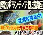 ����{�����e�B�A�{���u��