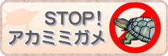 STOP!アカミミガメ