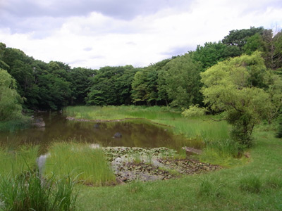 認定npo法人 生態工房 光が丘公園バードサンクチュアリ